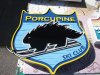 Porcupine-1.jpg