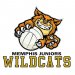 wildcat-transparent.jpg