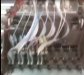 mutoh 8head.JPG