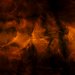 amber-zoom.jpg