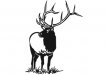 acg00123_Elk.jpg