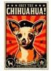 obey_chihuahua.jpg