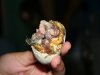 balut-300x225.jpg