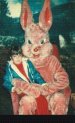 ebunny.jpg