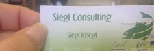 Siegi-Consulting.jpg