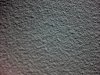 Wall Texture.jpg