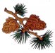 pinecone-copy.jpg