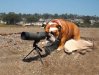 telescoping dog.jpg