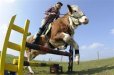 Bob on his cow horse.jpg