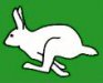 rabbit 6.jpg