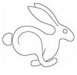 rabbit 7.jpg
