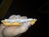 20130308_153006.jpg 20130308_153006.jpg