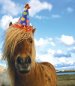 freds-birthday-pony.jpg