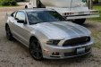 mustang  with stripes2.jpg