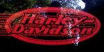 harley pic.jpg