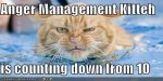 lol-cat-anger-management.jpg