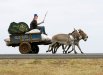 wise signs new transportation.jpg