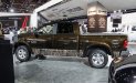 2014 Dodge Ram Bushwolf Camo.jpg