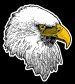 eagle-illustration-small.jpg