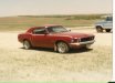 mustang.jpg