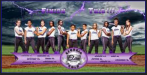 softball banner.png