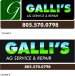 Galli's logo concepts.jpg Galli's logo concepts.jpg