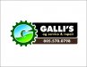 Galli's gear logo concept.jpg