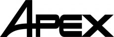 Apex Logo 3.jpg