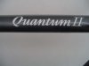 Quantum II.JPG