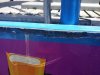20150423_122004.jpg