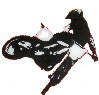 D_R_Designs
