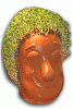 MrKoob