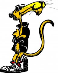 Boss Cat