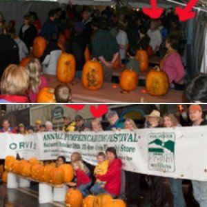 pumpkins carving photos
