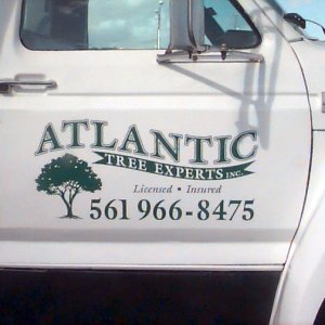 Atlantic Tree Experts 03