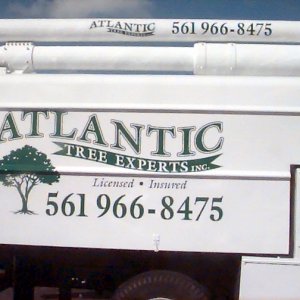 Atlantic Tree Experts 02