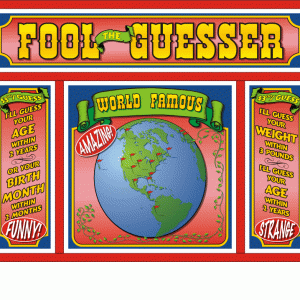 Fool the Guesser