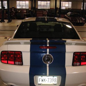 mustang_2007_006