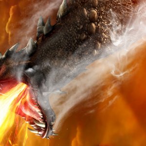 DRAGON-HEAD