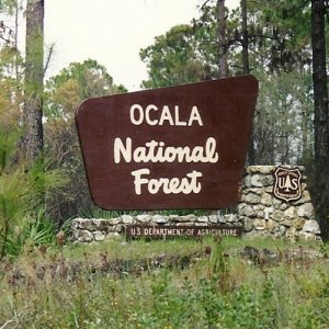 Ocala