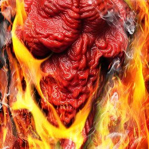 Ghost Pepper.jpg