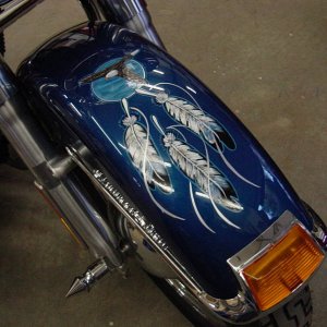 Harley fender