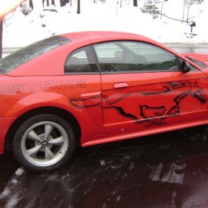 Mustang