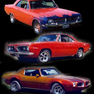 Muscle Cars