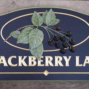 Blackberry Lane