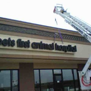 pets first animal hospital