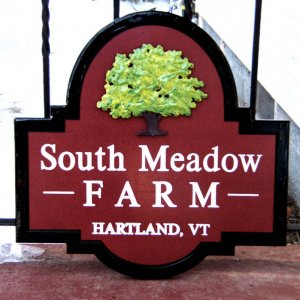south meadow