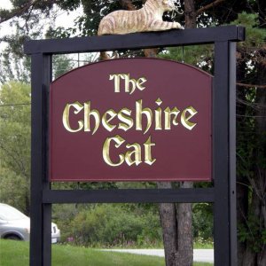 cheshire cat