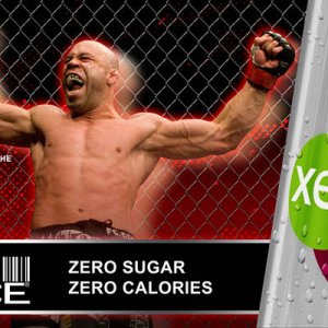 Wanderlei Silva - Xenergy Banner