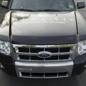 Monavie Ford Escape Wrap